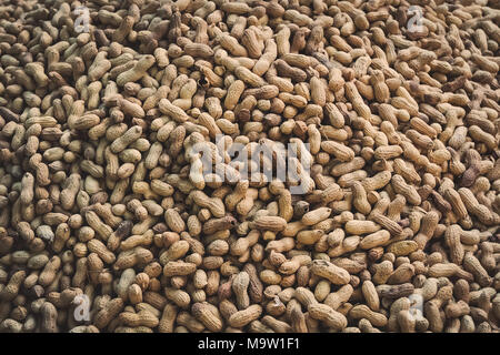 a bunch of peanuts as a background. Roasted peanuts in shell. Stock Photo