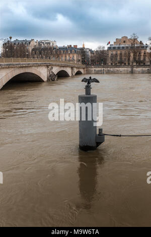 A cormorant spreads its wings at Pont des Invalides with parapets submerged beneath high river Seine during flood; view from Quai d'Orsay Stock Photo