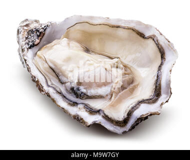 Fresh oyster isolated with shadow on white background. Clipping path. Stock Photo