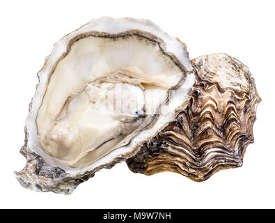 Fresh oyster isolated with shadow on white background. Clipping path. Stock Photo