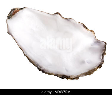 Fresh oyster isolated with shadow on white background. Clipping path. Stock Photo