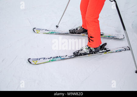 Legs athlete skier in an overall on a sport skiing on snow on a sunny day. The concept of winter sports Stock Photo