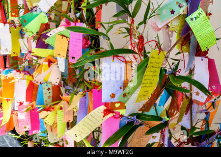 Buenos Aires Argentina,Recoleta,Japanese Garden Jardin Japones,botanical,wish tree,Tanzaku hanging on bamboo,colorful paper,Hispanic,ARG171130081