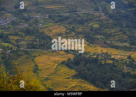 The mountain village with rice fields in Nepal located on cascades and surrounded by greenery. Stock Photo