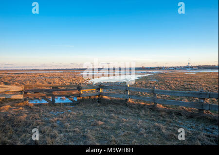 Wintry landscape in the nature reserve Graswarder, Heiligenhafen, Baltic Sea, Schleswig-Holstein, Germany, Europe Stock Photo