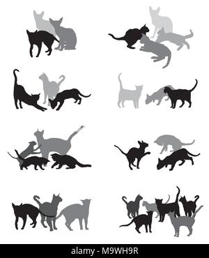 Set vector silhouettes group of different breeds cats silhouettes (sitting, standing, lying, playing) in black and grey colors isolated on white backg Stock Vector