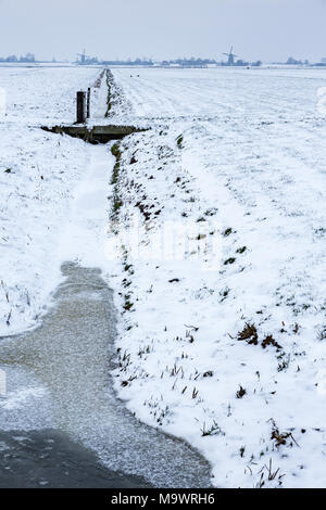 Historical windmills in a cold and snowy Dutch farmland near the village Nieuw Wetering in the Netherlands. Stock Photo