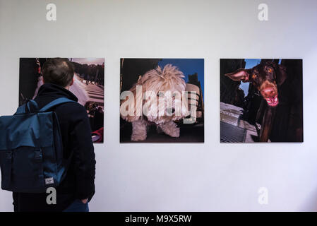 London, UK.  28 March 2018.  Visitors view works at the preview of 'The Series', an exhibition by Glaswegian street photographer Dougie Wallace at Bermondsey Project Space from 27 March to 14 April.  Works on display are from diverse subjects such as the mega-rich in Harrodsburg, Shoreditch, Blackpool as well as his latest project 'Well Heeled' a street photography book with dogs as the subject.  Credit: Stephen Chung / Alamy Live News Stock Photo