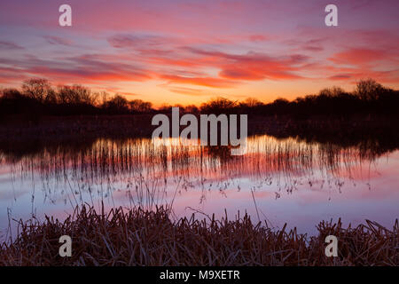 Barton-upon-Humber, North Lincolnshire, UK. 29th March 2018. UK Weather: A colourful sunrise over a Lincolnshire Wildlife Trust Nature Reserve, after a cold night. Barton-upon-Humber, North Lincolnshire, UK. 29th March 2018. Credit: LEE BEEL/Alamy Live News Stock Photo