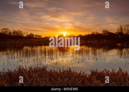 Barton-upon-Humber, North Lincolnshire, UK. 29th March 2018. UK Weather: A colourful sunrise over a Lincolnshire Wildlife Trust Nature Reserve, after a cold night. Barton-upon-Humber, North Lincolnshire, UK. 29th March 2018. Credit: LEE BEEL/Alamy Live News Stock Photo