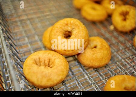 Hot, fresh fried cider donuts made at the historic 1837 Franklin Cider Mill, Bloomfield Hills, Michigan, USA. Stock Photo