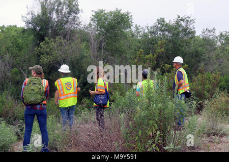 Agencies working together at SR-76 Restoration Site. Partners from U.S. Fish and Wildlife Service, California Department of Fish and Wildlife and Caltrans were involved in making sure this restoration provided suitable habitat for native wildlife. Stock Photo