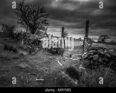 Gate in stone wall, Preseli Hills Stock Photo