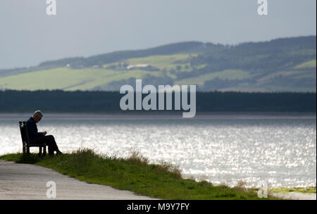 Man reading book on bench by the sea Stock Photo