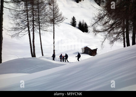 Group of People Walking on Snow Shoes on a Path in Fields above Badia, Italian Dolomites, Italy, EU. Stock Photo
