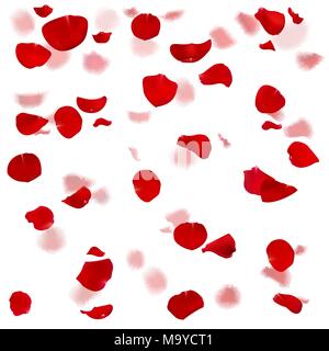 Red and pink roses petals are falling down. Stock Vector