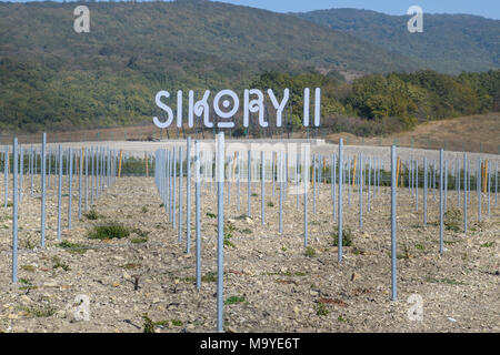 Novorossiysk, Russia - September 30, 2017: Sikory 2 Vineyards in the hills of the Sikory winery 2. Stock Photo
