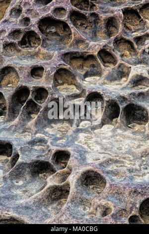 Honeycomb weathering patterns in the limestone within the Yehliu Geological Park known to geologists as the Yehliu Promontory, forms part of the Dalia Stock Photo