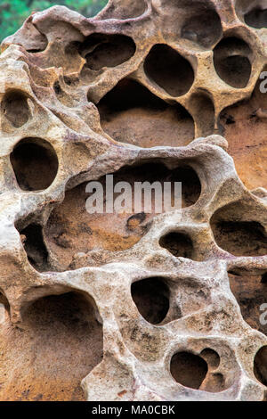 Honeycomb weathering patterns in the limestone within the Yehliu Geological Park known to geologists as the Yehliu Promontory, forms part of the Dalia Stock Photo