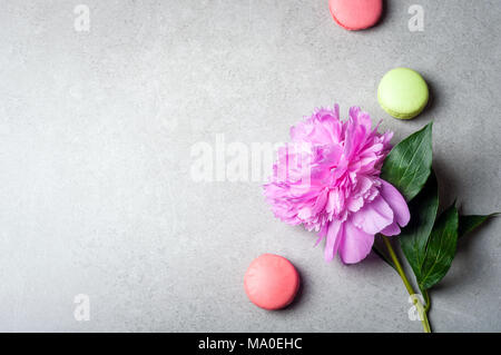 Flower peony, macaroons on grey background. Beautiful blog fashion concept. Top view Stock Photo