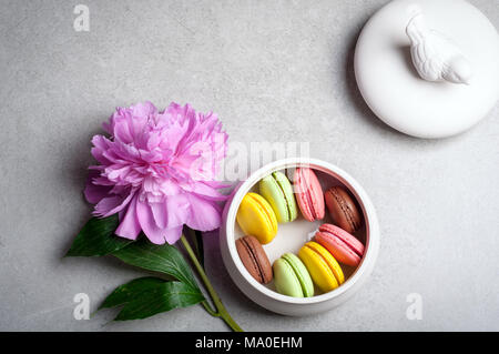 Flower peony, macaroons on grey background. Happy birthday, annivarsary, valentine holidays concept Stock Photo