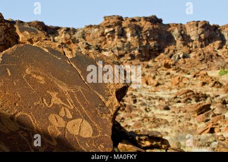 Bushmen petroglyphs, Twyfelfontein rock art site in Damaraland, southern Kaokoveld Wilderness, Namibia. Stock Photo