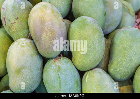 Fresh avocado close-up Stock Photo