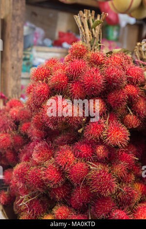 Lichen Rambutan rambutan fruit with leaf isolated on white background. rambutan ...
