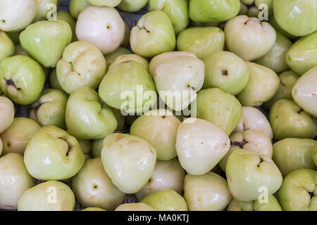 Rose apple or bell fruit Stock Photo