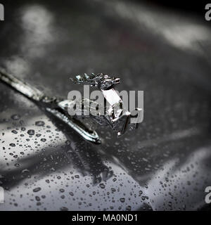 MOSCOW, RUSSIA - AUGUST 26, 2017: Close-up of shiny chrome plated deer on the hood of the retro car GAZ M21 Volga, vintage car, selectiv focus. Retro  Stock Photo