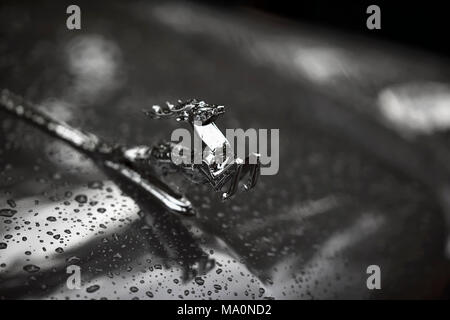 MOSCOW, RUSSIA - AUGUST 26, 2017: Close-up of shiny chrome plated deer on the hood of the retro car GAZ M21 Volga, vintage car, selectiv focus. Retro  Stock Photo