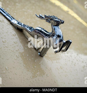 MOSCOW, RUSSIA - AUGUST 26, 2017: Close-up of shiny chrome plated deer on the hood of the retro car GAZ M21 Volga, vintage car, selectiv focus. Retro  Stock Photo