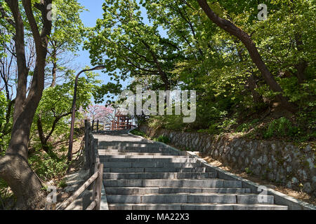 Trail to N tower at Namsan Mountain in a sunny day in Spring.  N tower, commonly known as Namsan tower, is a communication and observation tower in ce Stock Photo
