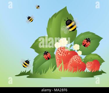 a vector illustration in eps10 format of ladybugs and bumble bees in a strawberry patch with ripe fruit green grass and blue sky in summer Stock Vector