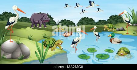 Many wild animals in the pond illustration Stock Vector