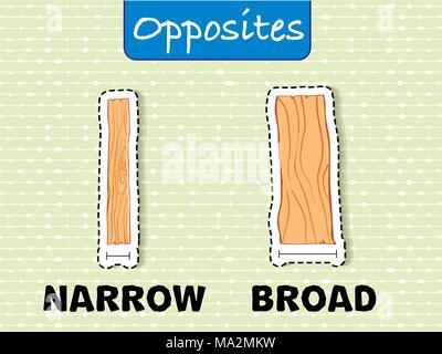 Opposite words for narrow and broad illustration Stock Vector