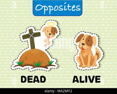 Opposite words for dead and alive illustration Stock Vector