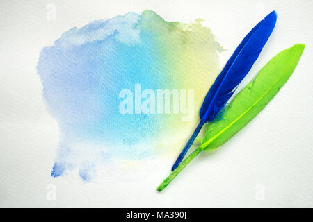 Abstract colorful watercolor on white paper with feathers. Stock Photo