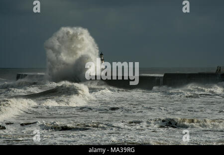 Storm waves of the North Sea hit and dwarf Seaham Harbour lighthouse with a dark sky background Stock Photo