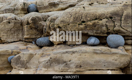 Strata of magnesian limestone at Seaham in County Durham with stones flung into the strata by the sea Stock Photo