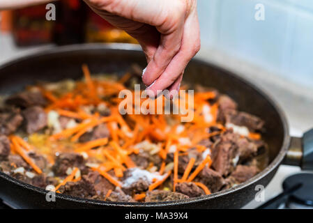 Close up female hand adding salt to beef stew on frying pan Stock Photo
