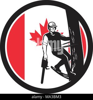 Icon retro style illustration of a Canadian tree surgeon, arborist, tree surgeon, or arboriculturist, a professional of arboriculture holding chainsaw Stock Vector