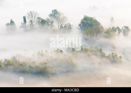 Mist over Adda river seen from Airuno at the Santuario Madonna della Rocchetta, Airuno, Parco dell'Adda Nord, Lecco province, Brianza, Lombardy, Italy. Stock Photo