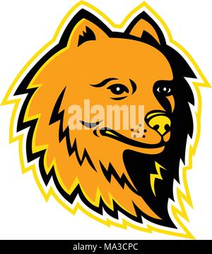 Mascot icon illustration of head of a Pomeranian, Zwergspitz, Dwarf-Spitza, or Poms , a breed of small size dog of the Spitz type on isolated backgrou Stock Vector