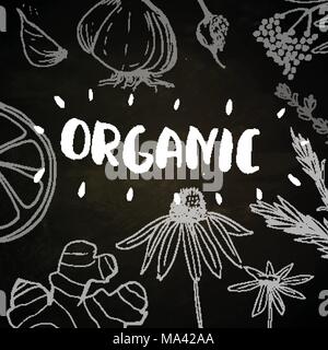Herbs and medicinal plants collection. Vector hand drawn isolated objects on white Stock Vector