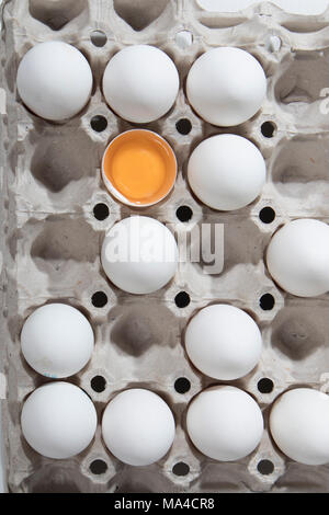 the One broken egg with the other white eggs in a cardboard box from the store. It looks like a chessboard. Stock Photo