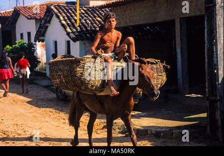 Boys riding Horse, Pipa, Natal, Rio Grand do Norte, Brazil, South America. Stock Photo