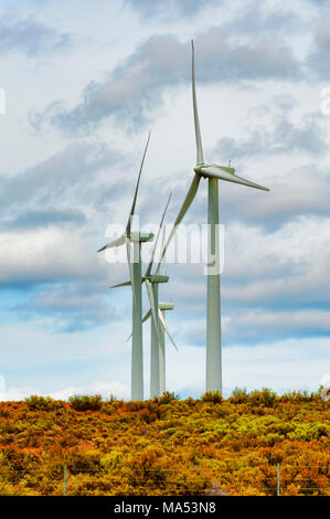 Wind turbines stand above sagebrush and under cloudy skies in south eastern Washington State. Stock Photo