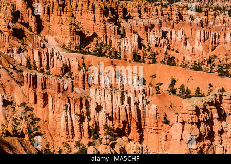 USA, Utah, Garfield County, Bryce Canyon National Park, Sunset Point, Amphitheater Stock Photo