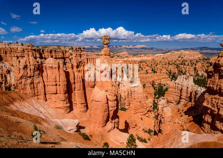 USA, Utah, Garfield County, Bryce Canyon National Park, amphitheater with Thor's Hammer, view from Navajo Loop Trail Stock Photo
